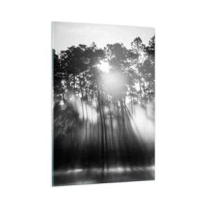 Quadro su vetro - Alberi bianchi e neri in una foresta con raggi di sole nella foschia - 50x70cm - Sole irrefrenabile - Decorazione murale moderna per soggiorno e camera da letto ARTTOR