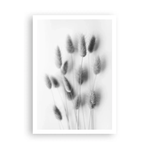 Poster - Erba soffice - 70x100 cm