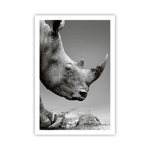 Poster - Forza irrefrenabile - 61x91 cm