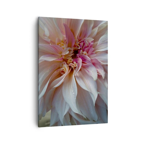 Quadro su tela - Stampe su Tela - Primo piano di delicati petali di fiori rosa con gocce d'acqua - 50x70cm - Freschezza in fiore - Decorazione murale moderna per soggiorno e camera da letto ARTTOR