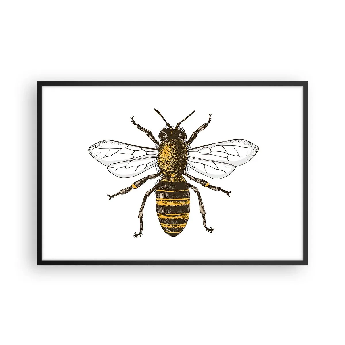 Poster in cornice nera - Bella e buona - 91x61 cm