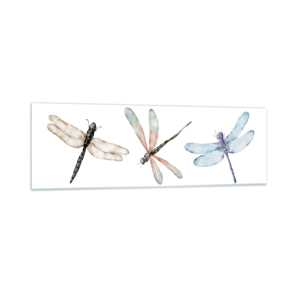 Quadro su vetro - Tre libellule dai delicati colori pastello - 160x50cm - Libellule senza peso - Decorazione murale moderna per soggiorno e camera da letto ARTTOR