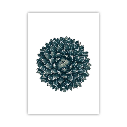 Poster - La stella del deserto - 70x100 cm