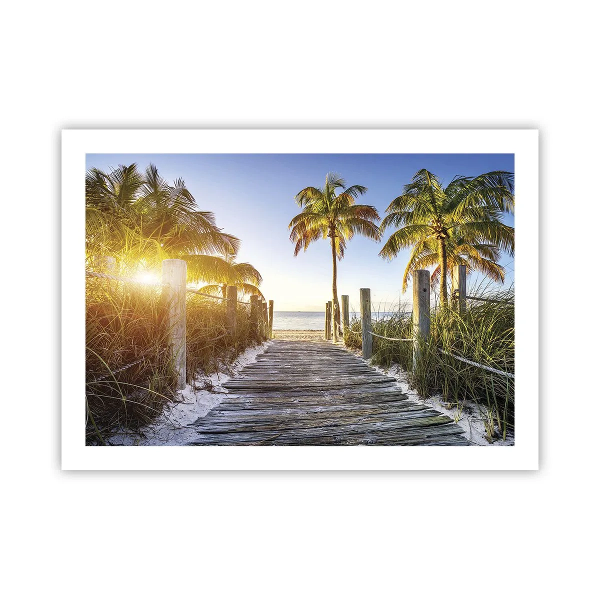 Poster - Dritto in paradiso - 70x50 cm