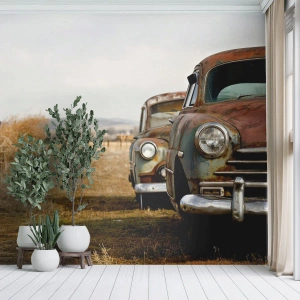 Fotomurali Autoadesivo Deluxe Sticker - Meritato riposo - Vecchia macchina, Settore automobilistico, Vintage ▾ - 350x256 cm