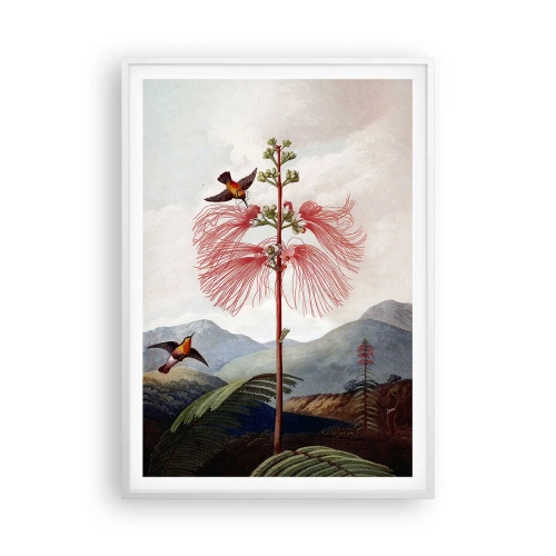 Poster in cornice bianca - Nel paradiso tropicale - 70x100 cm