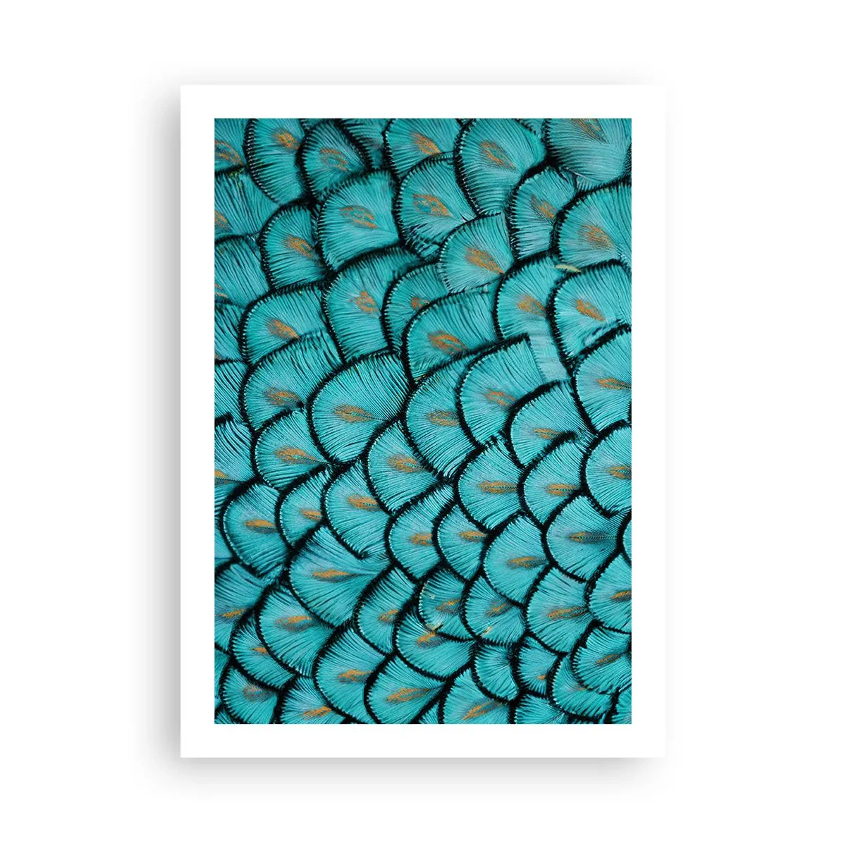 Poster - Macrofotografia di piume turchesi con un motivo unico - 50x70cm - La grande festa delle piume - Decorazione murale moderna per soggiorno e camera da letto ARTTOR