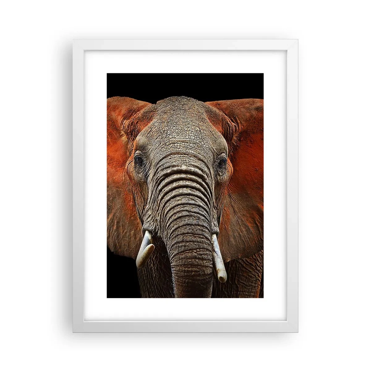 Poster in cornice bianca - Sono selvaggio e tu? - 30x40 cm