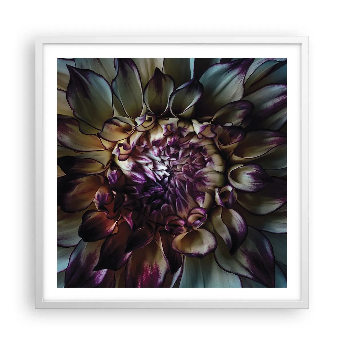 Poster in cornice bianca - Il rigoglio della giovinezza - 60x60 cm