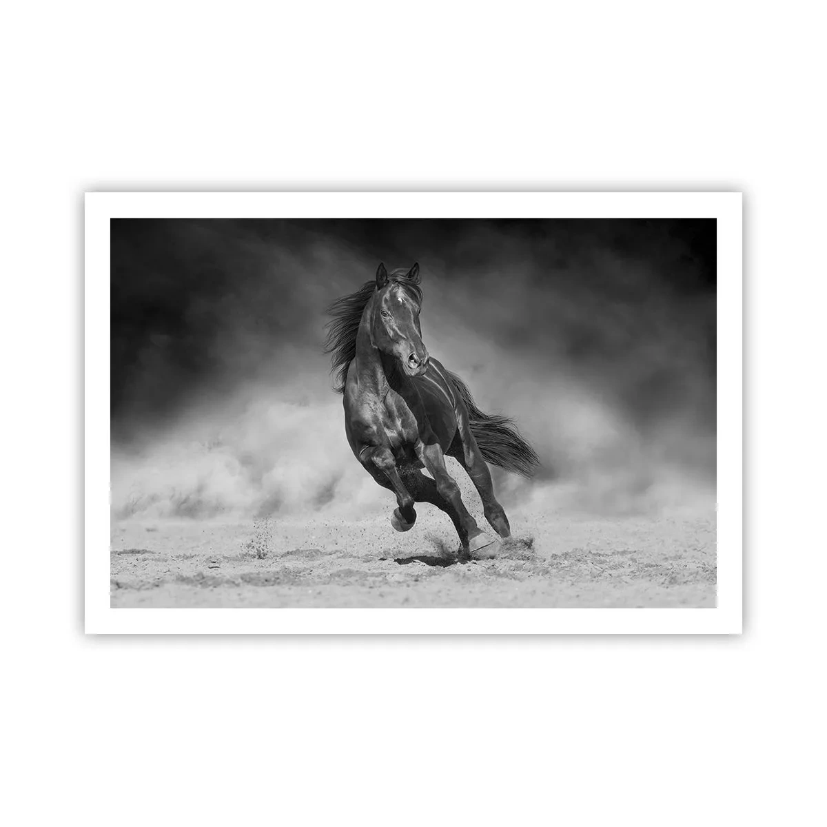 Poster - Degno dell'emiro - 91x61 cm