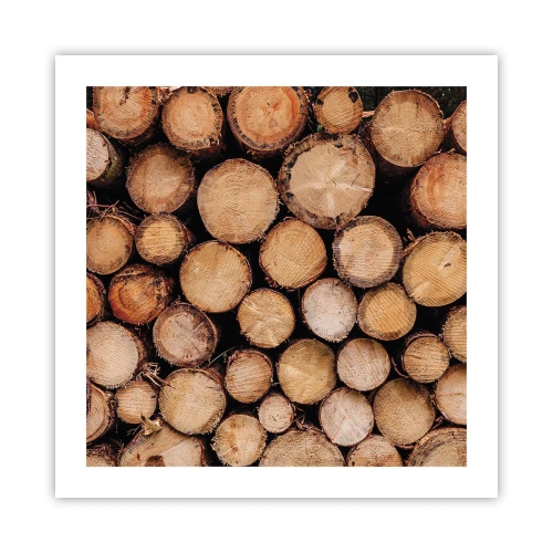Poster - Nuovo inizio - 50x50 cm