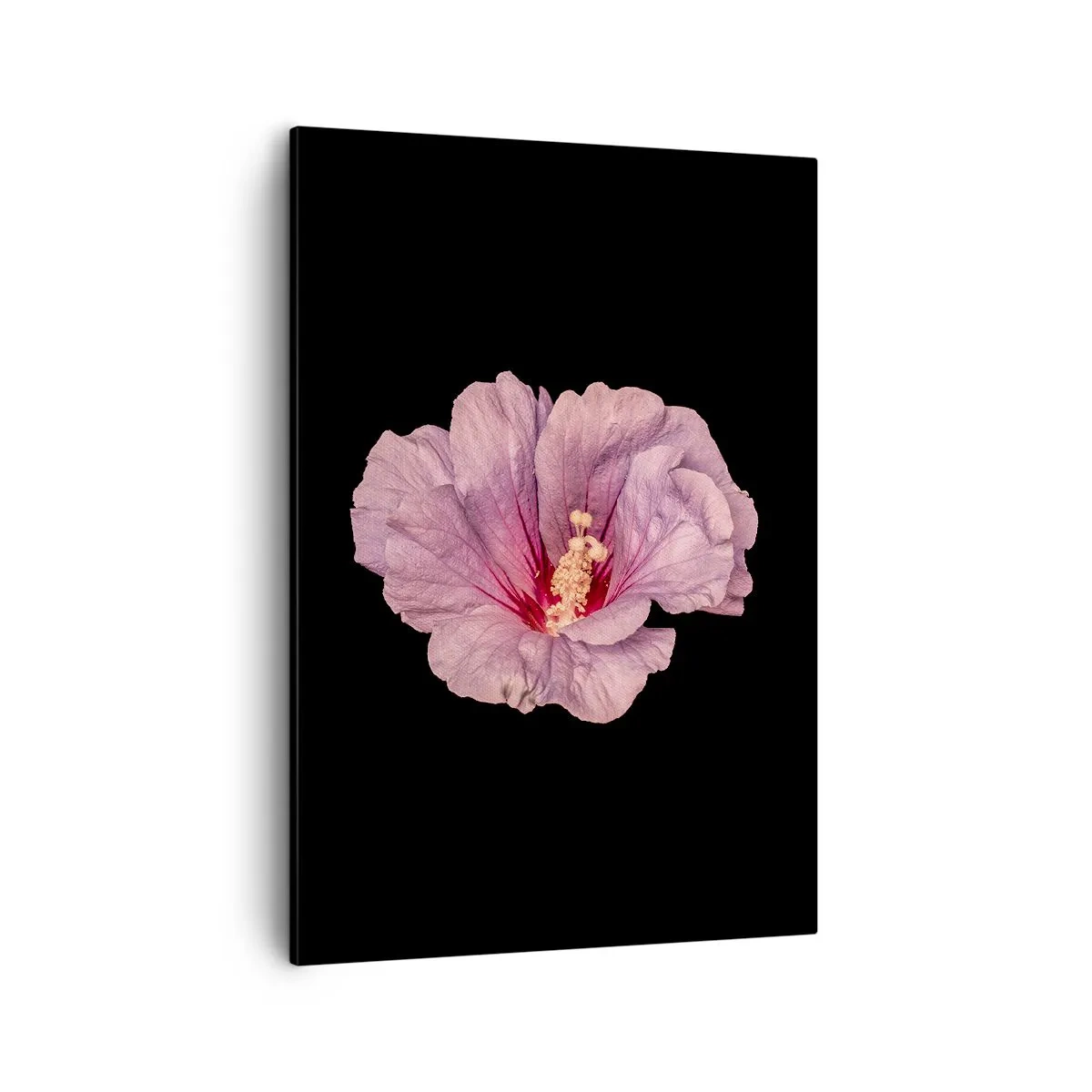 Quadro su tela - Stampe su Tela - Fiore rosa su sfondo nero - 50x70cm - Dritto al cuore - Decorazione murale moderna per soggiorno e camera da letto ARTTOR