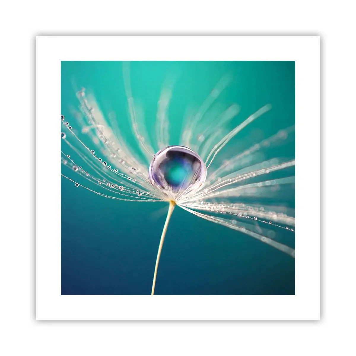 Poster - Attimo mistico - 40x40 cm