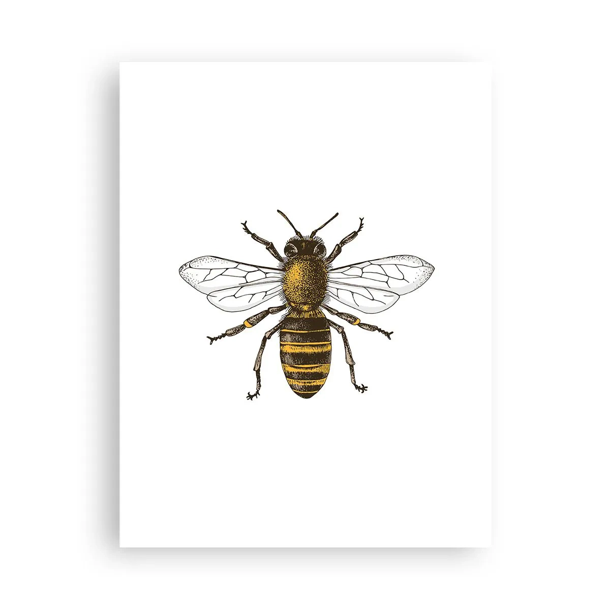 Poster - Bella e buona - 30x40 cm