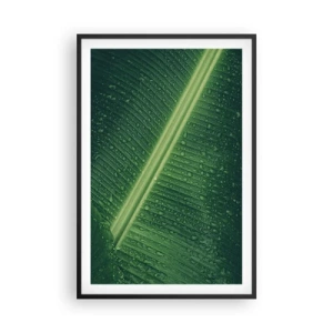Poster in cornice nera - La struttura del verde - 61x91 cm