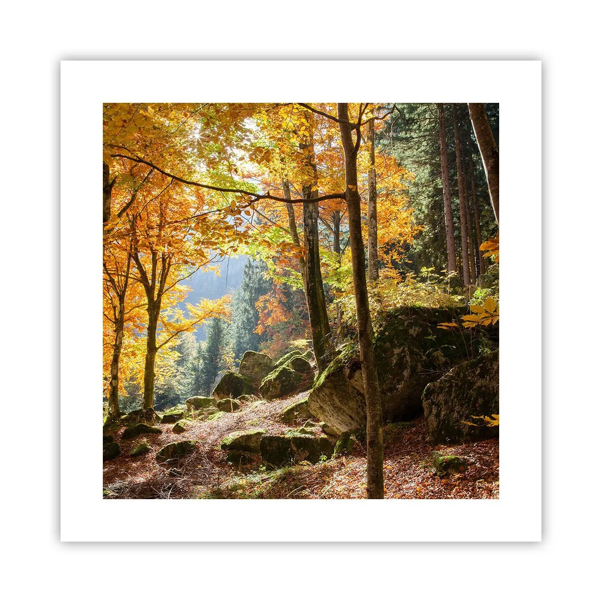 Poster - Il tempo del riposo - 40x40 cm