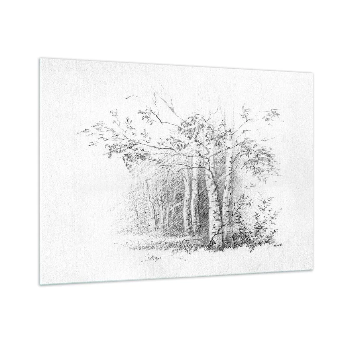 Quadro su vetro - Schizzo di una foresta di betulle in toni monocromatici - 100x70cm - La luce della foresta di betulle - Decorazione murale moderna per soggiorno e camera da letto ARTTOR