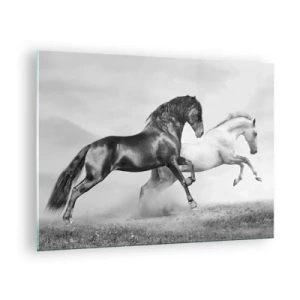 Quadro su vetro - Cavalli bianchi e neri in un ambiente dinamico - 70x50cm - Angeli e demoni - Decorazione murale moderna per soggiorno e camera da letto ARTTOR
