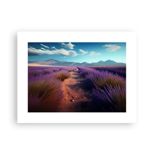 Poster - Campi profumati - 40x30 cm