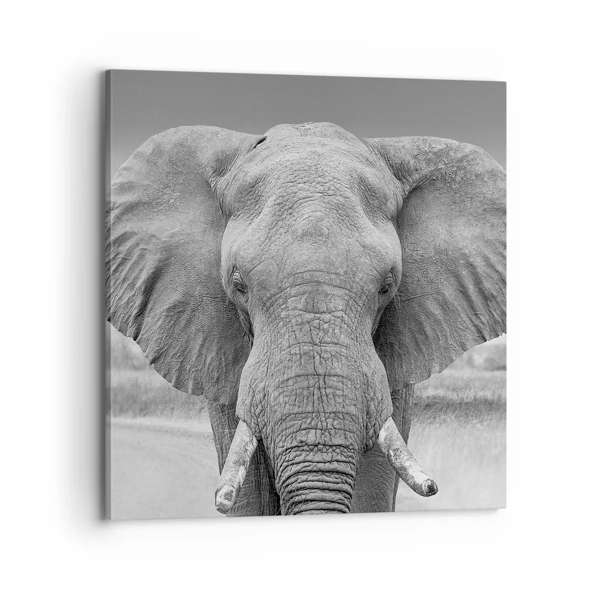 Quadro su tela - Stampe su Tela - Benvenuti nel mio mondo - 70x70 cm