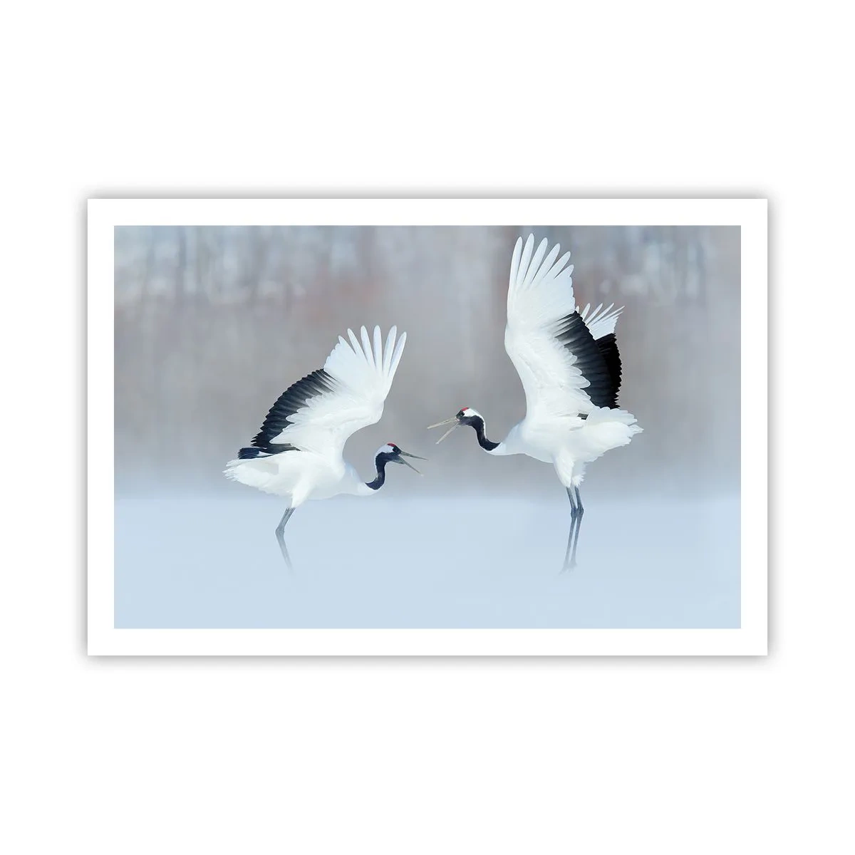 Poster - Danza nella nebbia - 91x61 cm