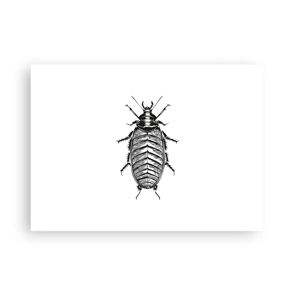 Poster - Che esemplare! - 70x50 cm