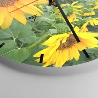 Quadrante con trattini