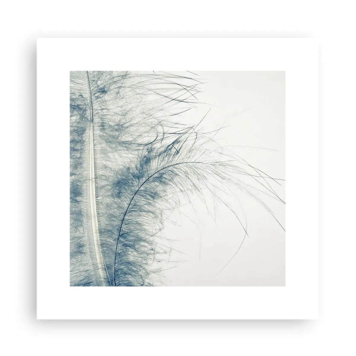 Poster - Il sussurro della natura - 30x30 cm