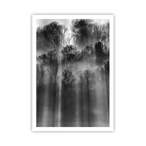 Poster - Nei getti di luce - 70x100 cm