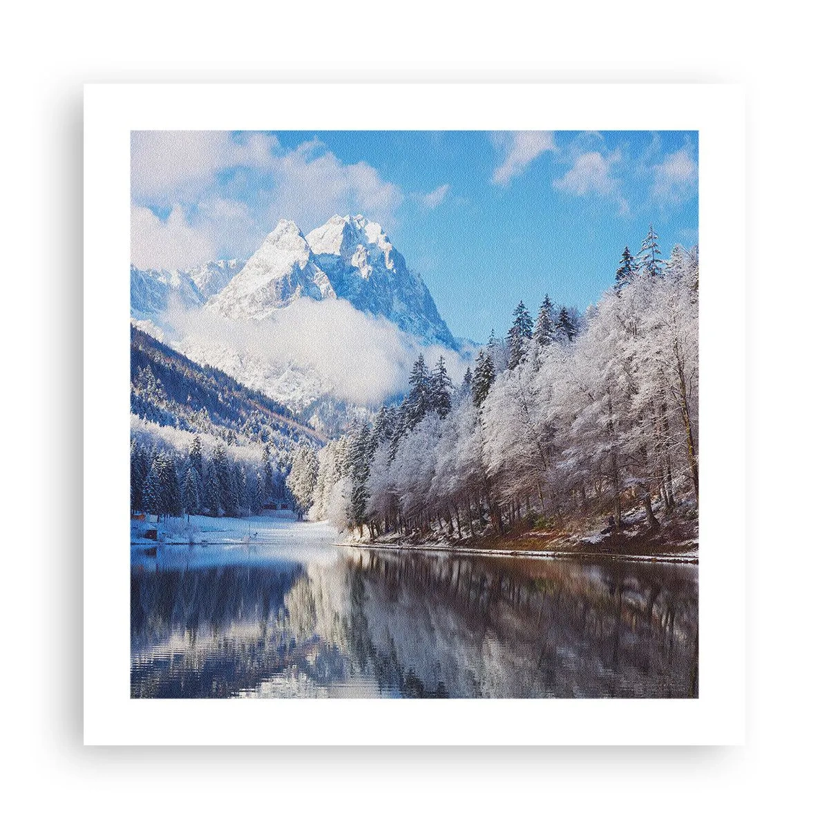 Poster - Il custode innevato - 50x50 cm