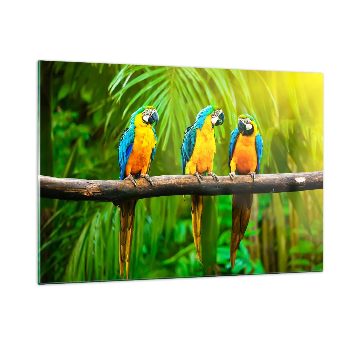 Quadro su vetro - Tre pappagalli ara su un ramo in una foresta tropicale - 120x80cm - Hai sentito che ha fatto? - Decorazione murale moderna per soggiorno e camera da letto ARTTOR