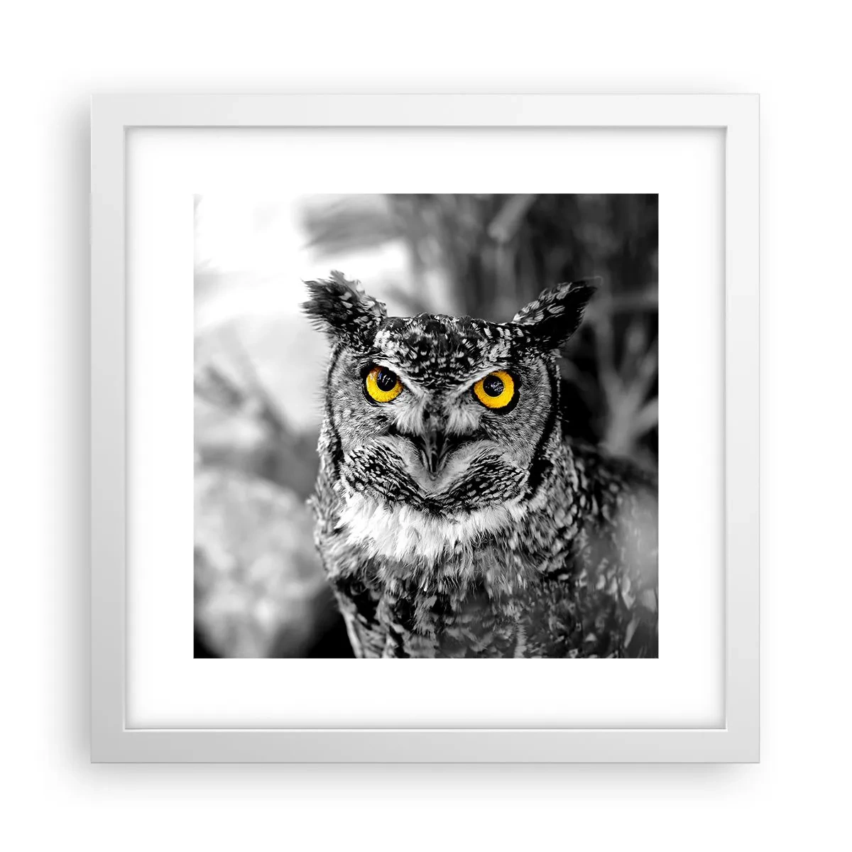 Poster in cornice bianca - Non si può nascondere niente - 30x30 cm