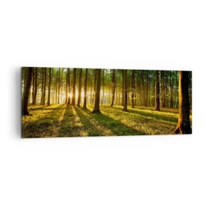 Quadro su tela - Stampe su Tela - Il sole al tramonto nella foresta decidua - 140x50cm - La foto di ogni primavera - Decorazione murale moderna per soggiorno e camera da letto ARTTOR