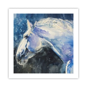 Poster - Ritratto in luce blu - 50x50 cm