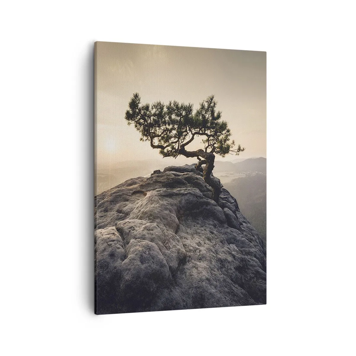 Quadro su tela - Stampe su Tela - Un albero solitario su una cima rocciosa alla luce del sole - 50x70cm - La vita vince sempre - Decorazione murale moderna per soggiorno e camera da letto ARTTOR