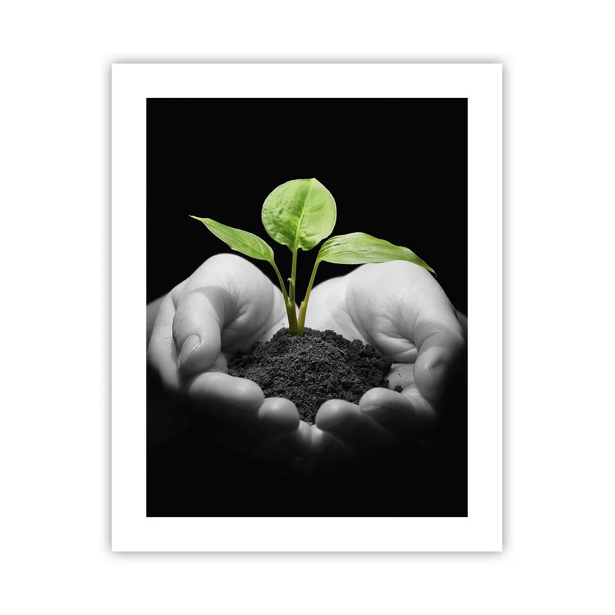 Poster - Amo la natura, la proteggo - 40x50 cm