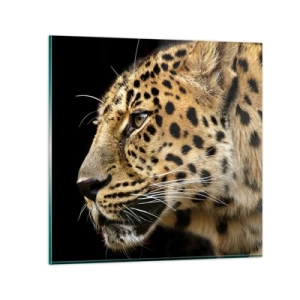 Quadro su vetro - Calmo, concentrato, pronto - 30x30 cm