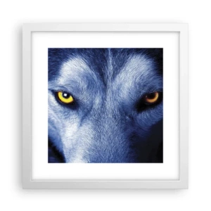 Poster in cornice bianca - Sguardo ipnotico - 30x30 cm