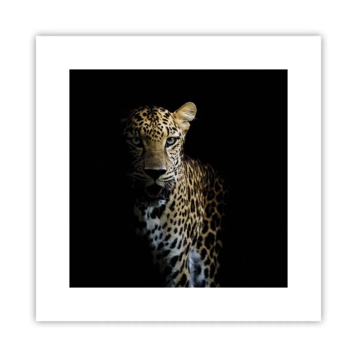 Poster - Bellezza tenebrosa - 30x30 cm