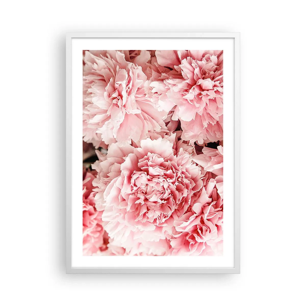 Poster in cornice bianca - Sogno rosa - 50x70 cm