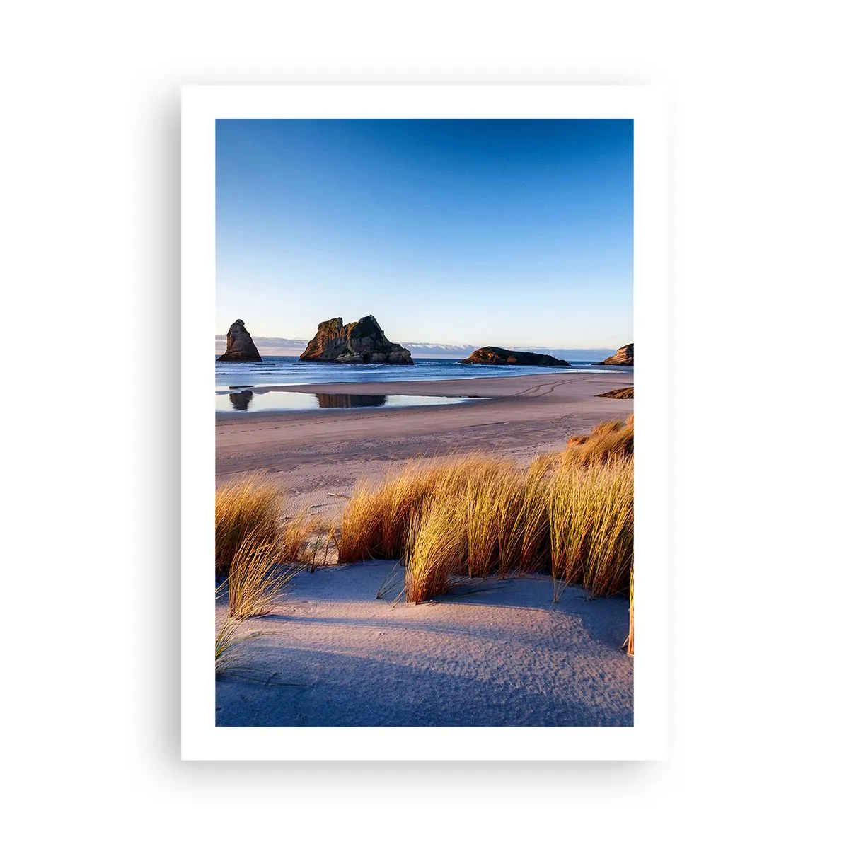 Poster - Una spiaggia pittoresca con erba e rocce sullo sfondo di un oceano calmo - 50x70cm - Per i cercatori di pace - Decorazione murale moderna per soggiorno e camera da letto ARTTOR