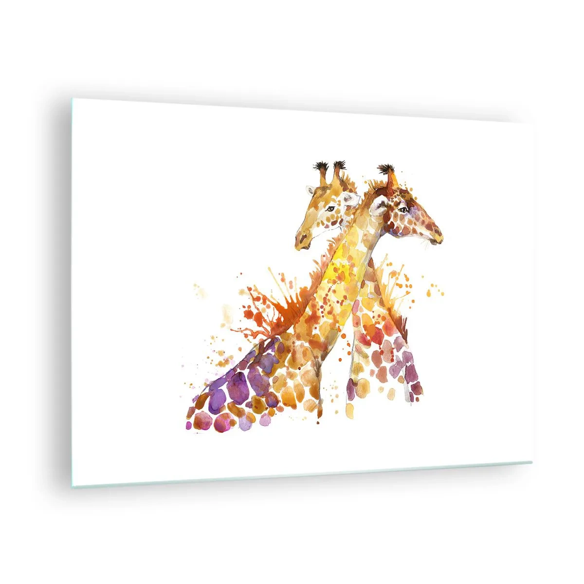 Quadro su vetro - Giraffe artistiche in stile acquerello su sfondo bianco - 70x50cm - È amicizia o amore? - Decorazione murale moderna per soggiorno e camera da letto ARTTOR