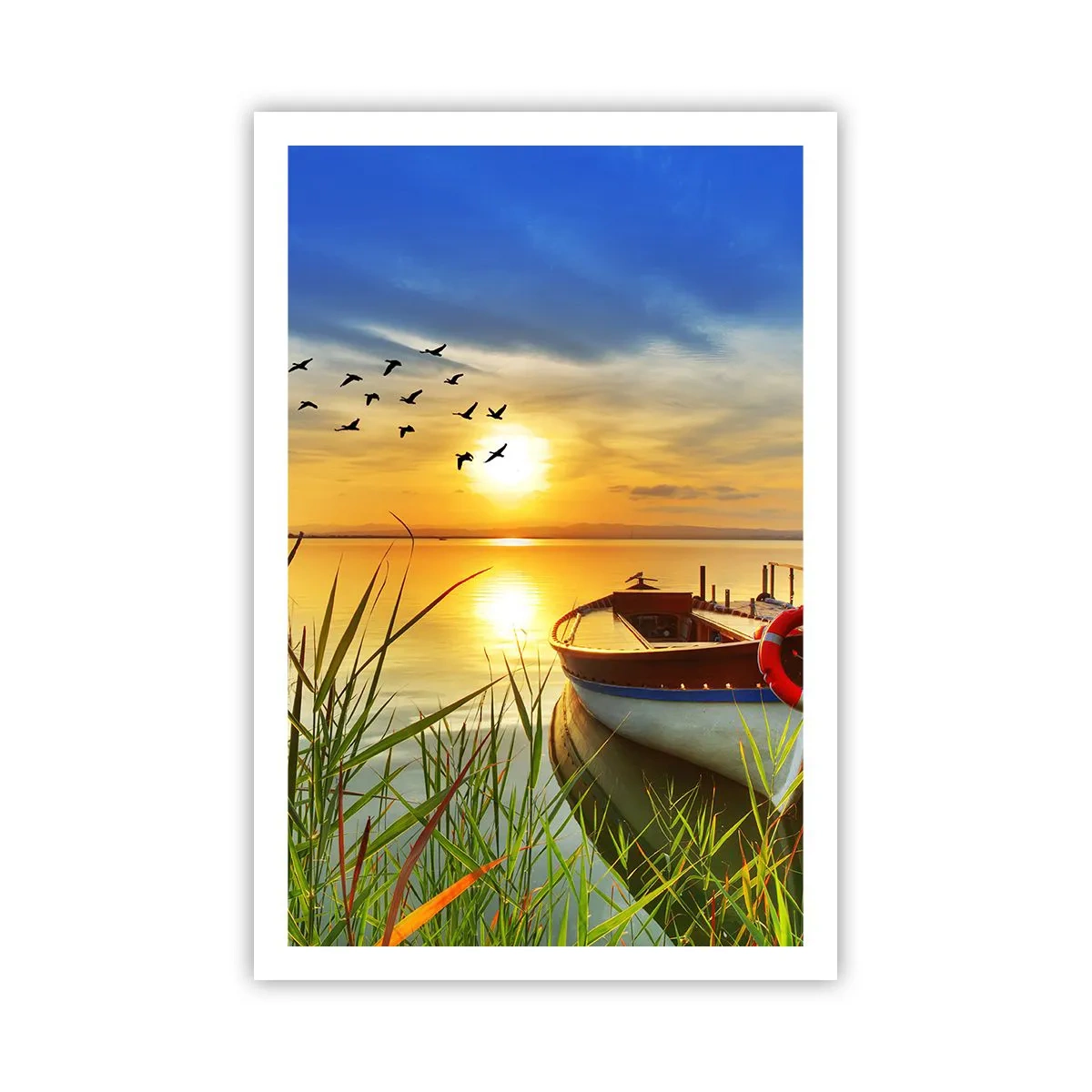 Poster - I cormorano volano già via - 61x91 cm