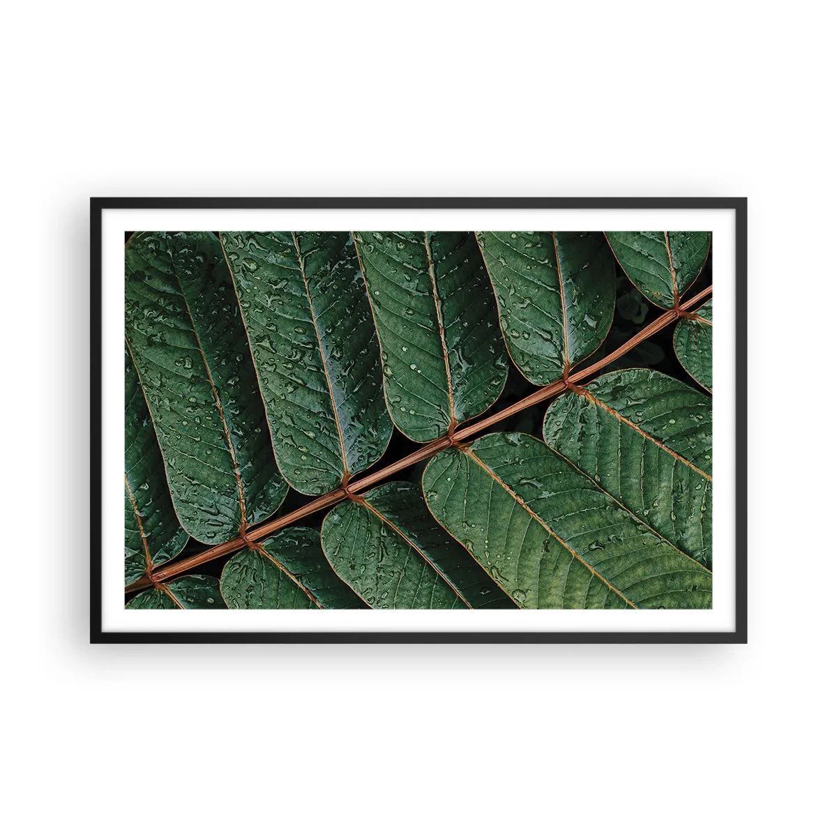 Poster in cornice nera - Al ritmo verde - 91x61 cm