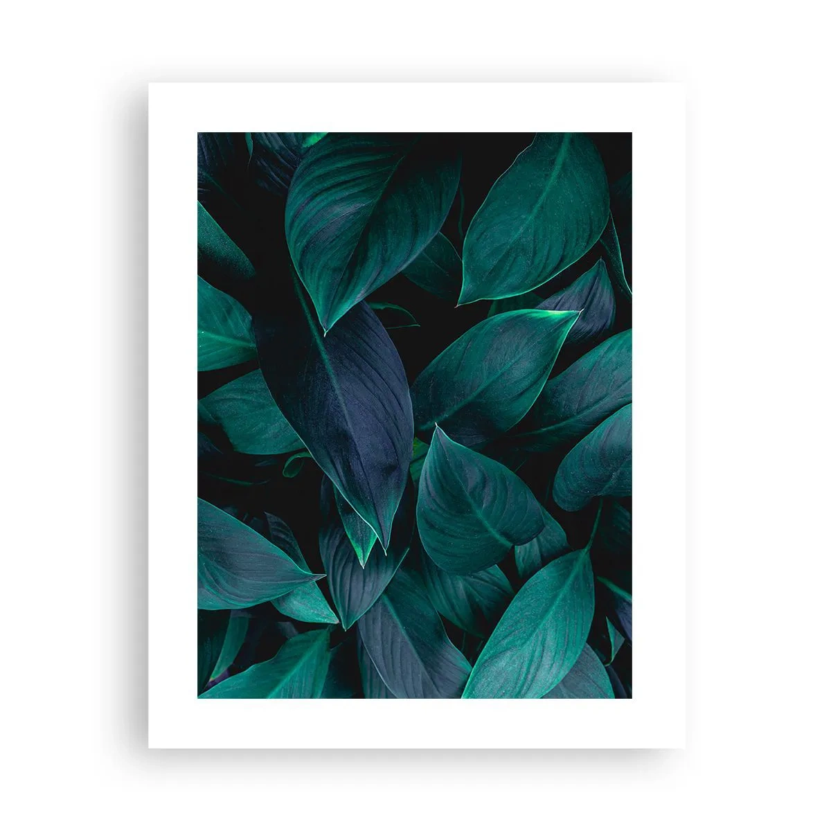 Poster - Il verde puro - 40x50 cm