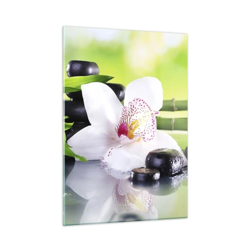 Quadro su vetro - Orchidea, bambù e pietre nere su sfondo verde - 50x70cm - Freschezza rinfrescante - Decorazione murale moderna per soggiorno e camera da letto ARTTOR