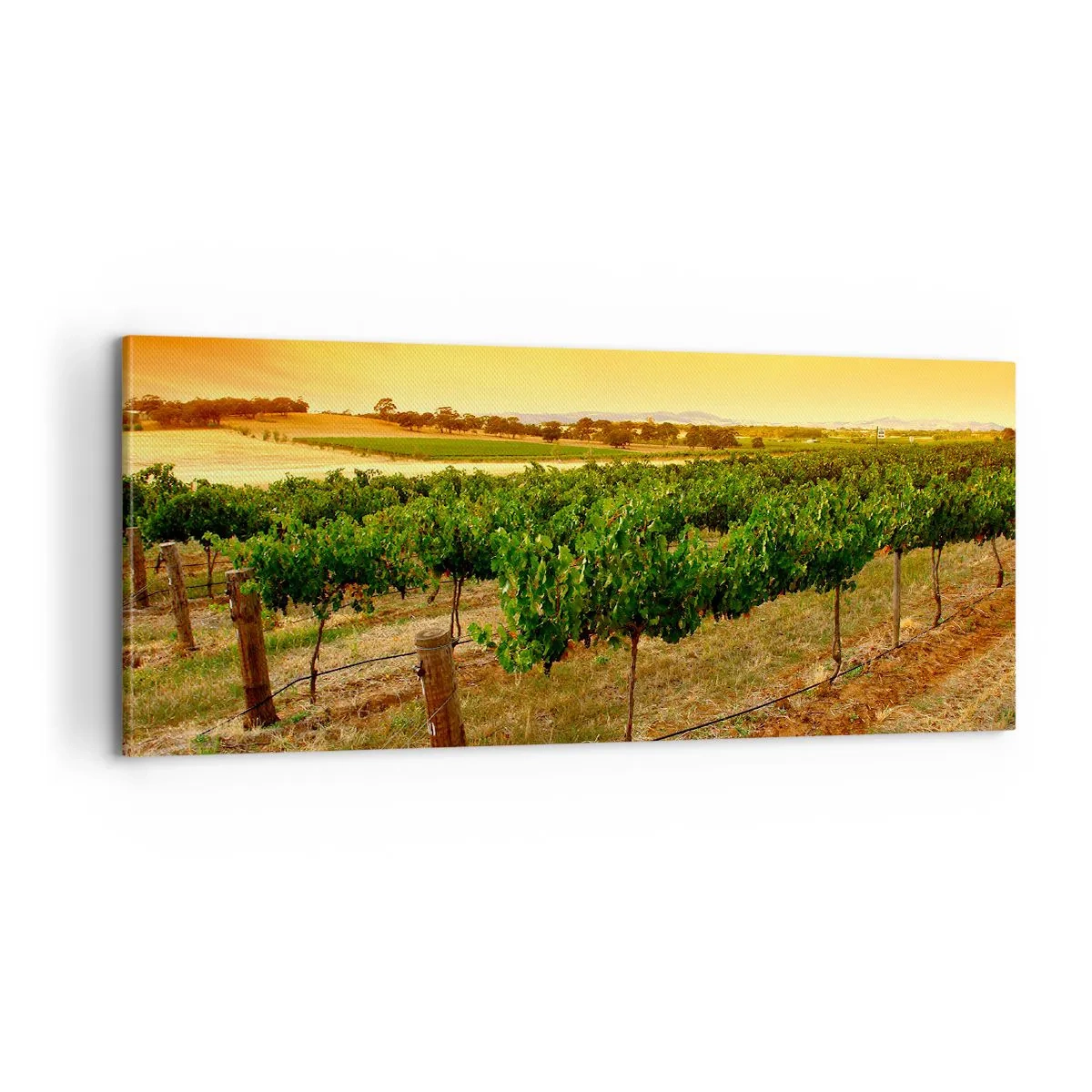 Quadro su tela - Stampe su Tela - Ubriacarsi di sole - 100x40 cm