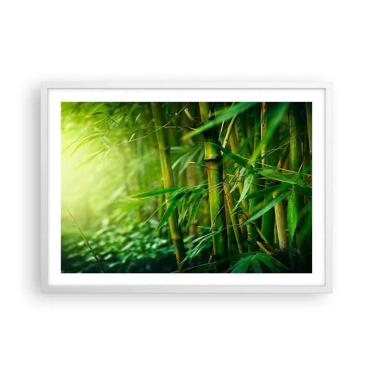 Poster in cornice bianca - Conoscere il verde in sé - 70x50 cm