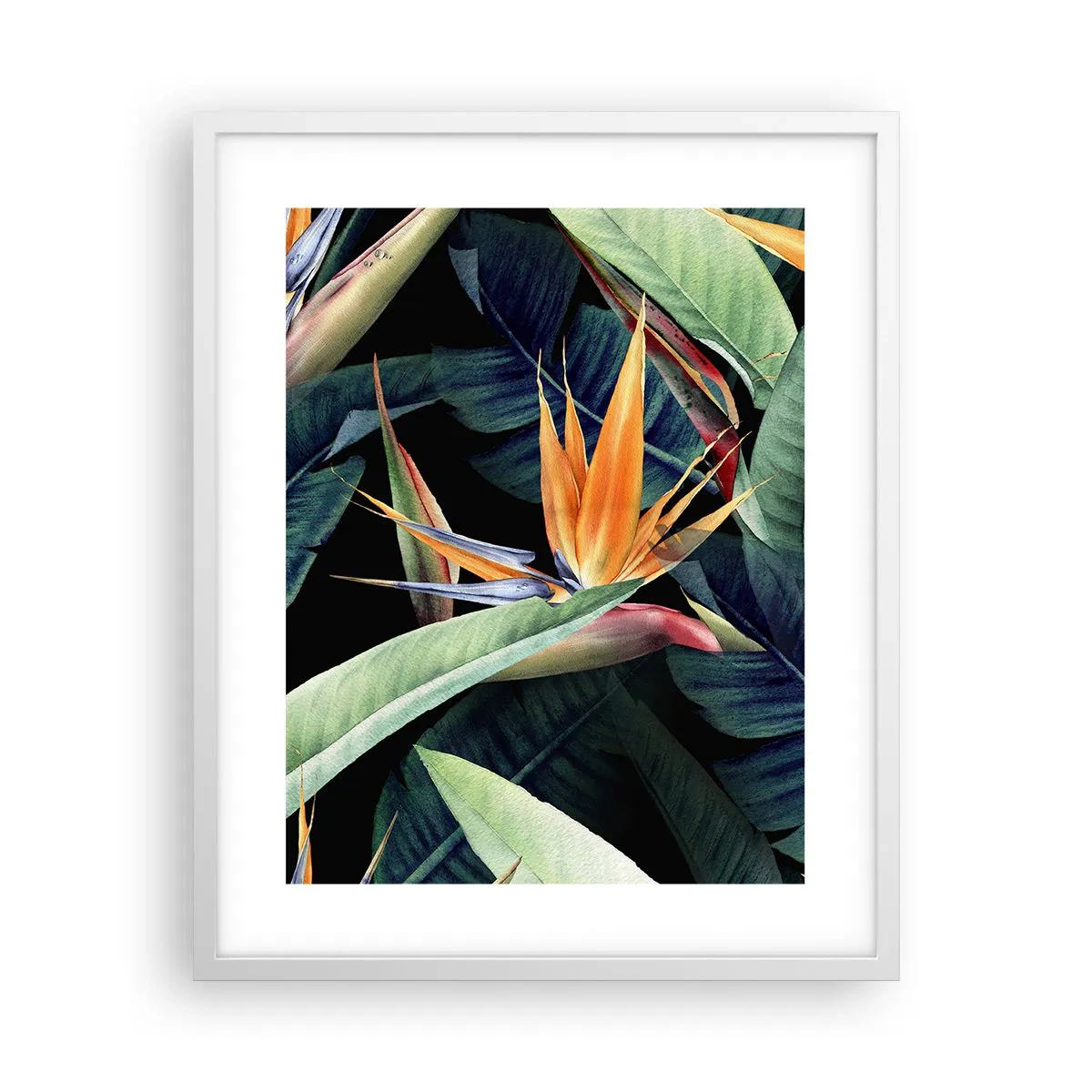 Poster in cornice bianca - I fiori fiammeggianti dei tropici - 40x50 cm