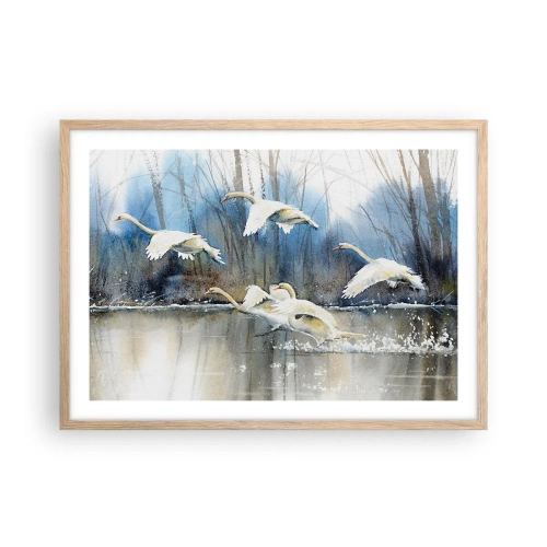 Poster in cornice rovere chiaro - Come la favola dei cigni selvatici - 70x50 cm